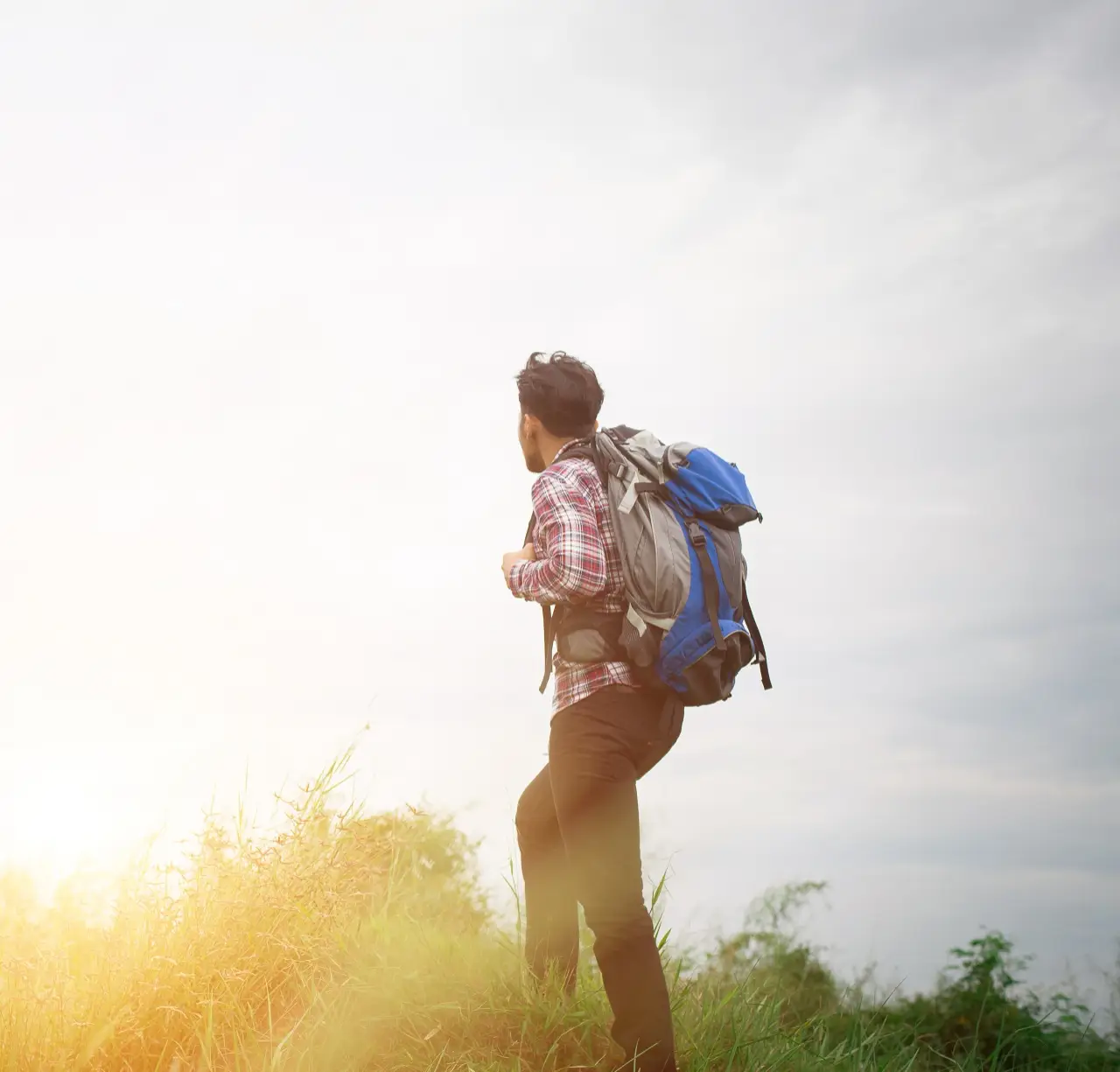 Committed to Your Growth